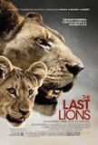 Click image for larger version

Name:	last_lions.jpg
Views:	1
Size:	8.0 KB
ID:	38794