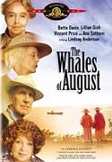 Click image for larger version

Name:	The-Whales-Of-August.jpg
Views:	1
Size:	19.7 KB
ID:	39343